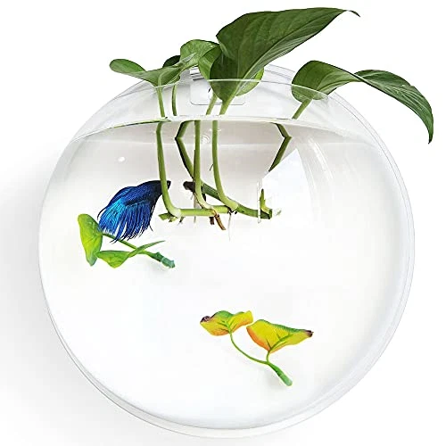 Betta Fish Tank Bowl 11.8in Wall Mounted Beta Fish Small Aquarium 1 Gallon