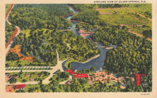 Airplane View Silver Springs Florida Postcard Posted 1947