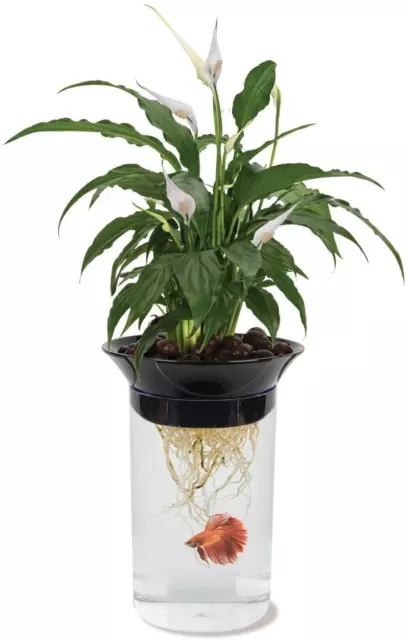 Penn-Plax Aquaponic Planter and Aquarium for Fish Tank for Plants and Fish