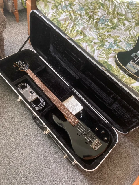 Roadrunner bass shop guitar case