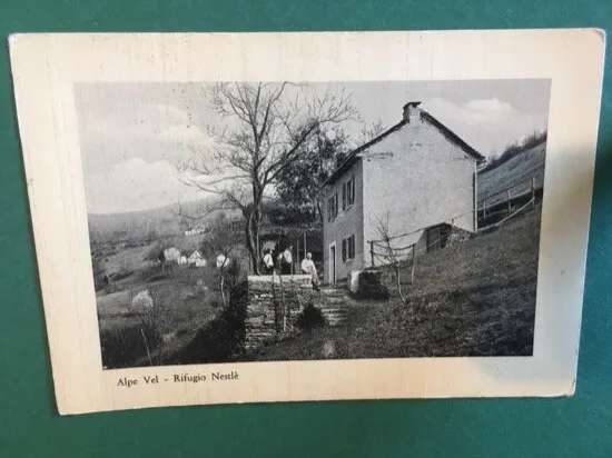 Cartolina Alpe Vel - Rifugio Nestlè - 1952