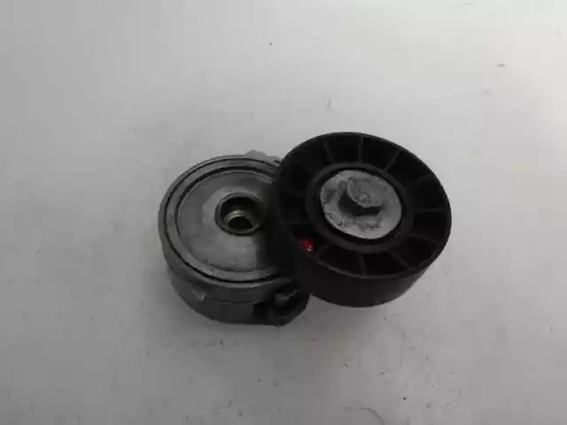 galet tendeur pour PEUGEOT 206 FASTBACK 2.0 HDI 90 1999 2005 111721
