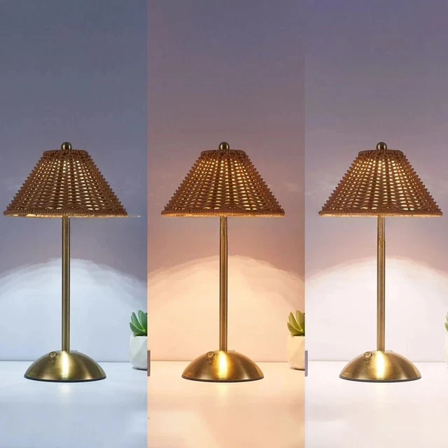 LED RATTAN RECHARGEABLE Desk Lamp 3 Color Light Changing Southeast ...