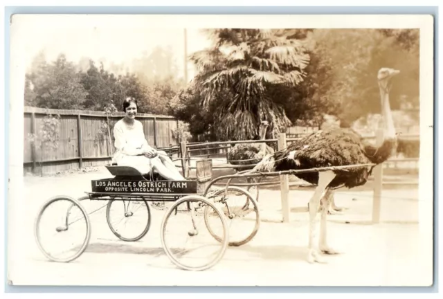 1928 Ostrich Pulling Wagon Los Angels Ostrich Farm RPPC Photo Vintage Postcard