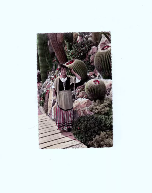 Ansichtskarte/Postkarte Kakteen Jardin Exotique de Monaco Echinocactus Grusonii