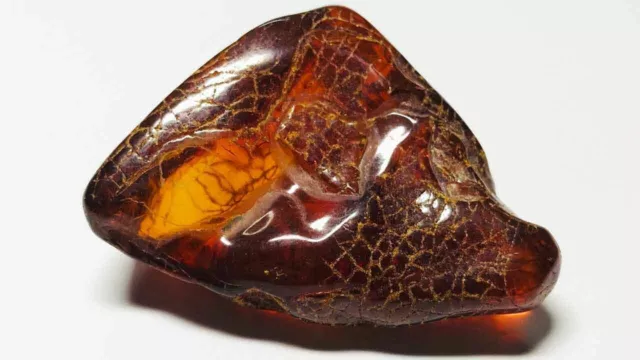 Natural Baltic Amber stone gem amber Genuine  Amber Piece amber stone