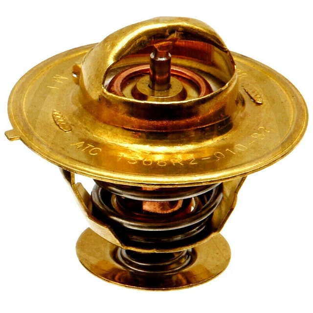 Thermostat für Case IH Maxxum 5120 5130 5140 5150 5120 Pro 5130 Pro 74702039