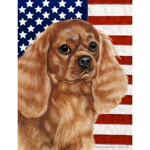 Patriotic (D2) House Flag - Ruby Cavalier King Charles Spaniel 32118