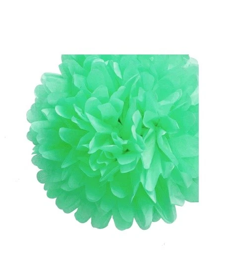 Tissue Paper Pompoms Pom Poms Hanging Flower Balls  Wedding Decoration-10Pack