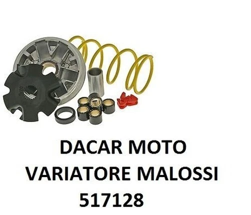 Variateur MALOSSI Multivar pour Suzuki Sepia Zz 50 2T 517128