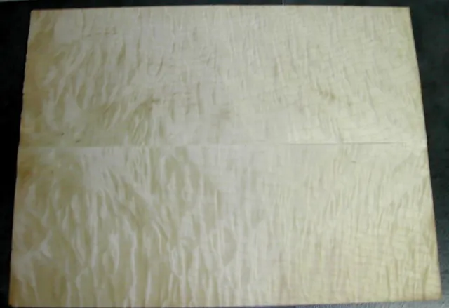 PureEdge 7/8 in. x 25 ft. Khaya Real Wood Edgebanding with Hot Melt Adhesive, Brown