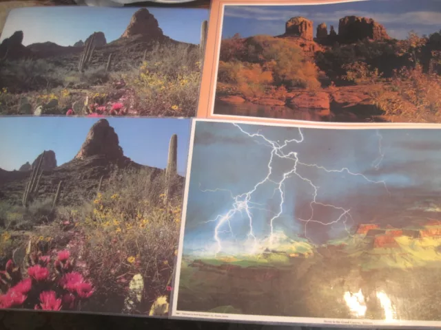 VTG Laminated SCENERY Arizona Grand Canyon/Desert In Bloom 4 Table Placemats