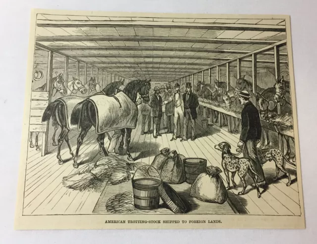 1885 Rivista Incisione ~ Americana Trotta Magazzino Spedito A Straniera Lands