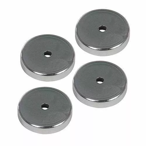 Silverline Ferrite Magnets 4 Pack 106307