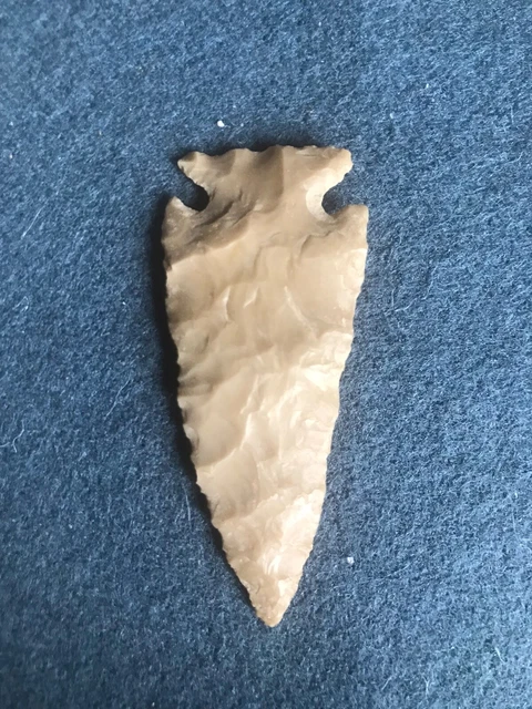 BEAUTIFUL ARCHAIC CORNER NOTCH, EDWARDS PLATEAU CHERT, 3500 B.P. w JACKSON COA