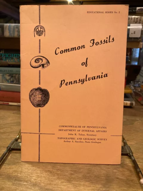 Common Fossils of Pennsylvania Donald Hoskins 1964 18-Page Pamphlet Illustrated