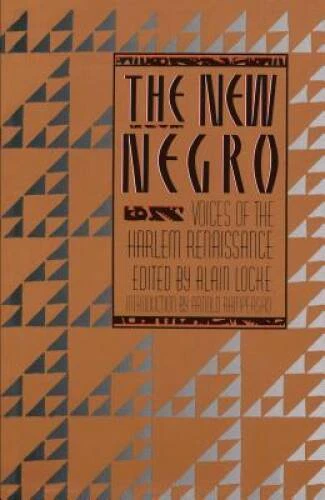 The New Negro : Voices of the Harlem Renaissance - Paperback - ACCEPTABLE
