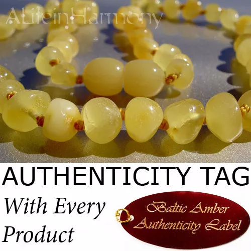 RARE BUTTERSCOTCH Baltic Amber CHILD Necklace AGbA® Certified