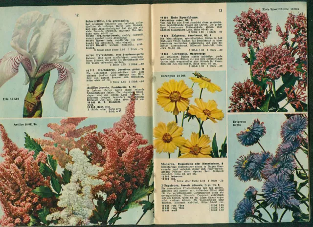 Blumen Frühjahrskatalog 1955 Bernardus von Saase Aalen Pflanzen Stauden Fotos 2