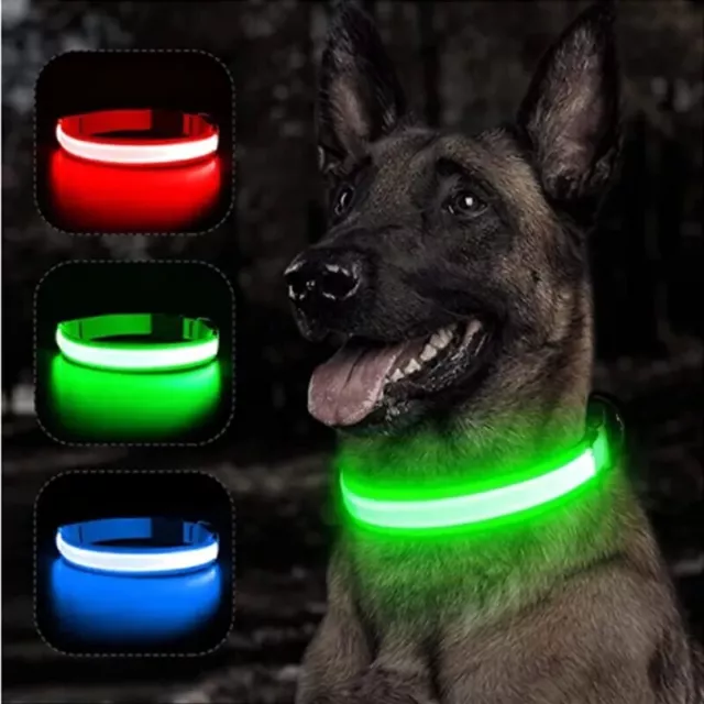 Collier de chien lumineux LED Réglable Anti perte pour la nuit