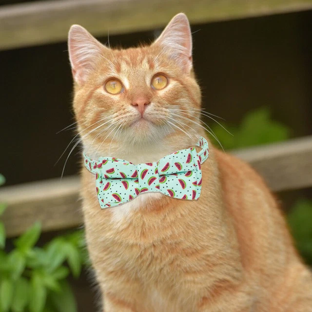 Pet Collar No Deformation Stylish Fruit Pattern Bow Dog Collar Clean Easily