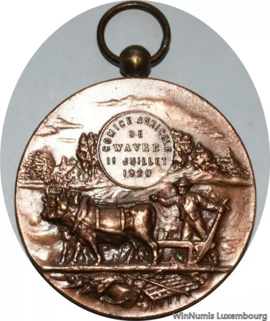 G3716 Médaille Belgique Comice Agricole Cheval Horse Wavre 1920 SUP