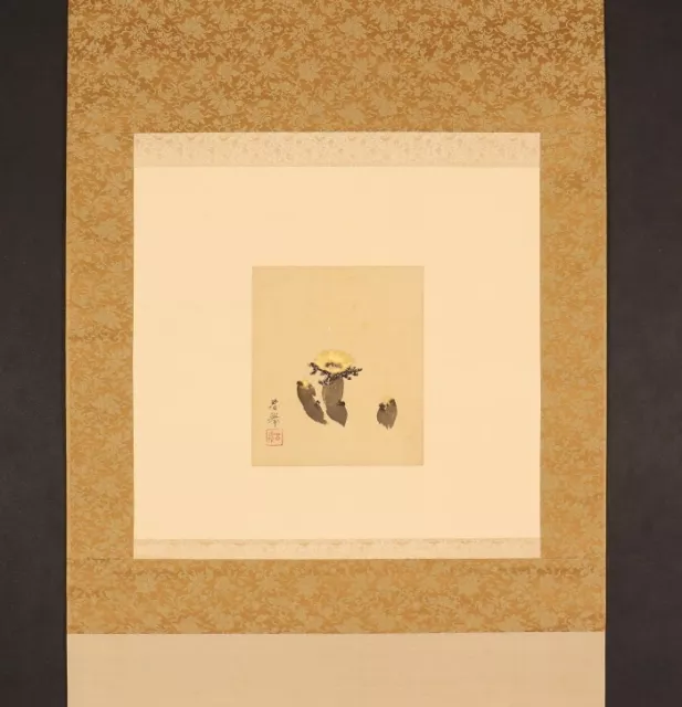 sh5360 Hanging Scroll "Fukujuso Flowers" by Yamamoto Shunkyo (1872-1933)