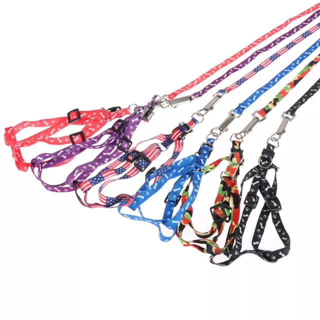 1CM Width Small Pet Dog Cat Print Rope Lead Leash Harness Adjustable Chest F#km 2