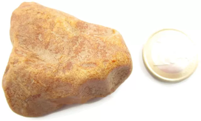 1 pezzo di ambra gialla  grezza di 24,72 grammi 123,6 carati