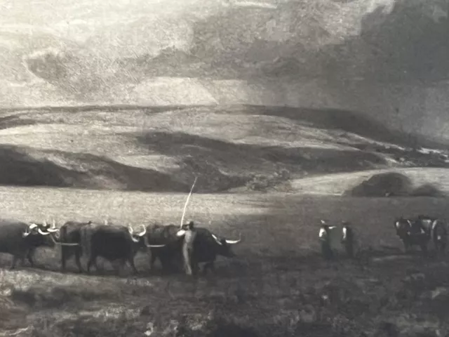Norman Hirst (1862-1956) - mezzotint - signed titled -  Ploughing With Oxon