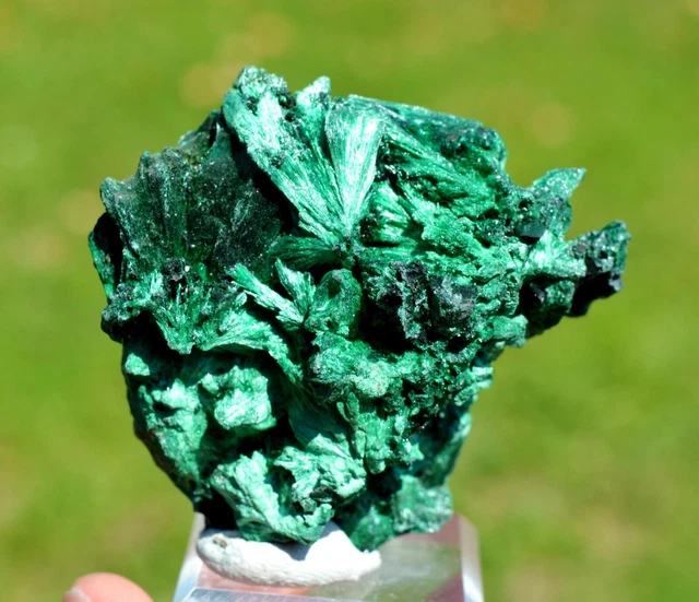 Malachit 107 Gramm - DER STERN Des Kongo Mine, Lubumbashi, Dr Kongo