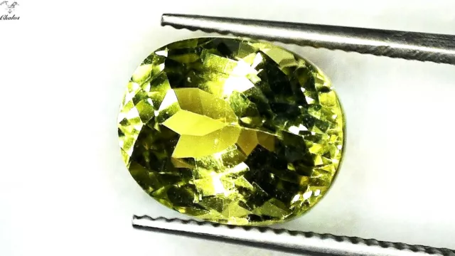 1x Tourmaline - Vert Citron Ovale à Facettes 1,74ct.6, 0x7, 8x5, 0mm (3000G)