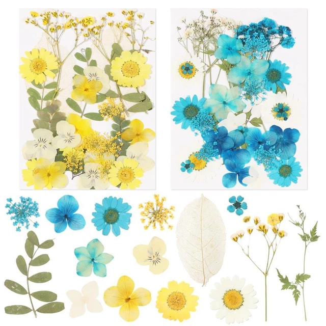 Craft Pressed Dry Flower Real Dried Flowers Natural Plants Aromatherapy Candle