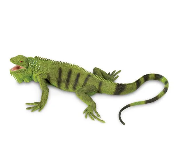 Iguana Replica  # 267729 ~  FREE SHIPPING in USA with $25.+ SAFARI, Products