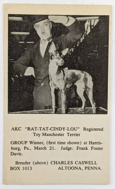 Vintage 1930s? Manchester Terrier Kennel Club Dog Show Winner Photo Card Signed