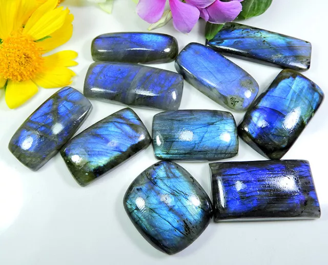 388Cts. Natural Labradorite Blue Fire Smooth Cabochon Gemstone 10Pcs Lot