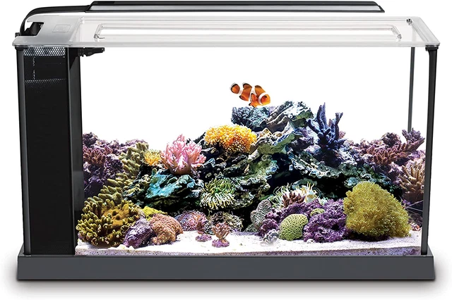 Fluval Sea Evo V Saltwater Fish Tank Aquarium Kit, Black, 5 gal, 10528A1