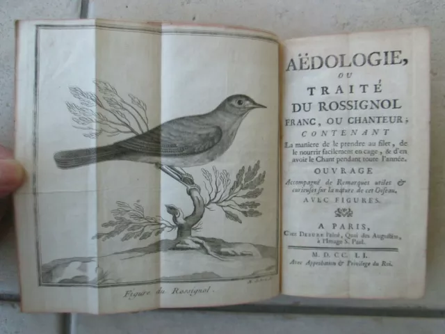 AEDOLOGIE ou TRAITE DU ROSSIGNOL franc ou chanteur, 1751 + poème MS