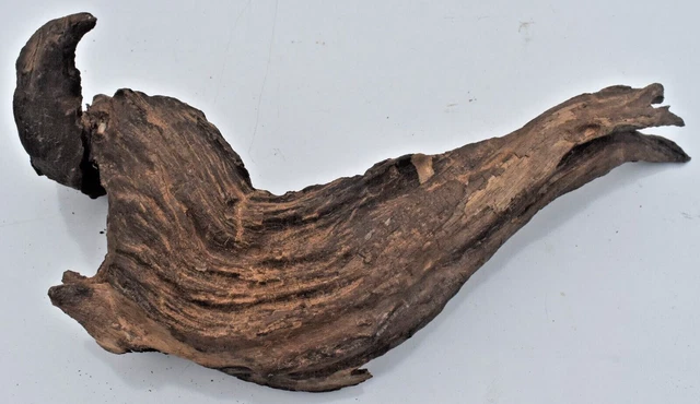 Driftwood Natural Tree Root Aquarium Fish Tank Reptile Deco Length 11 inches