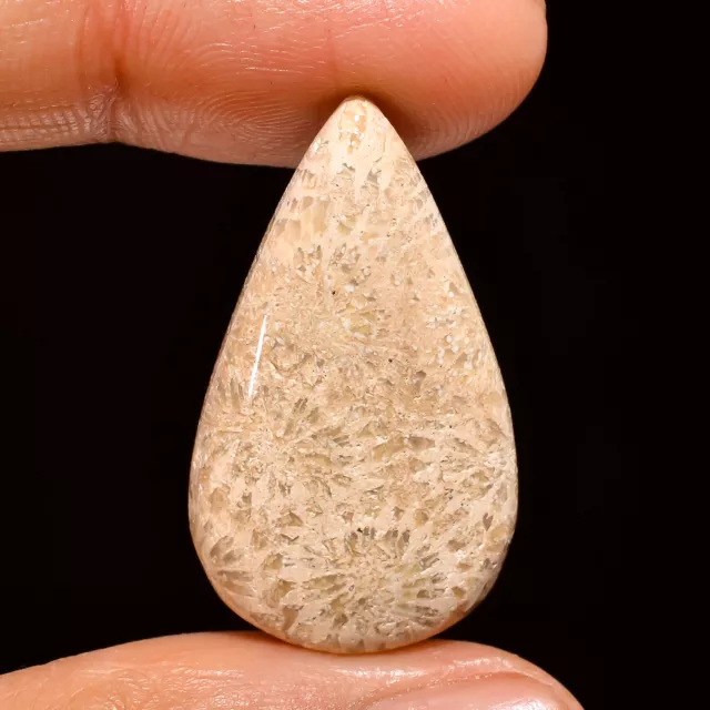 Natural Fossil Coral Pear Shape Cabochon Loose Gemstone 18.5 Ct 29X17X6 mm A-108