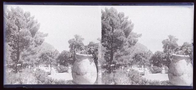 FRANCE Paysage Jardin 1932 PHOTO NEGATIVE Plaque de verre Vintage VBn