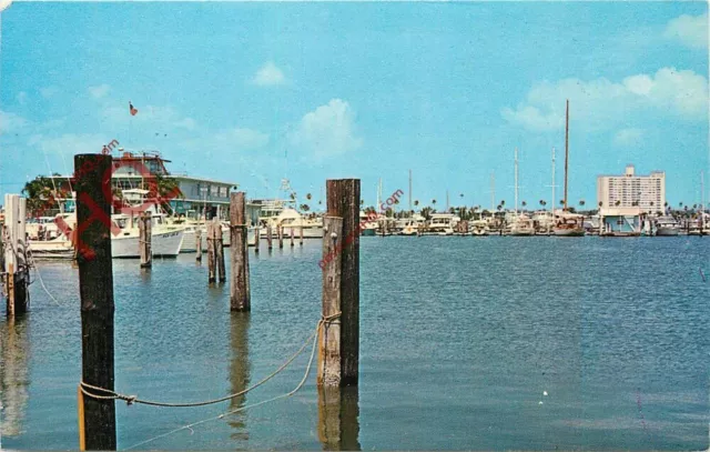 Bild Postkarte_ Florida, Clearwater, Marina