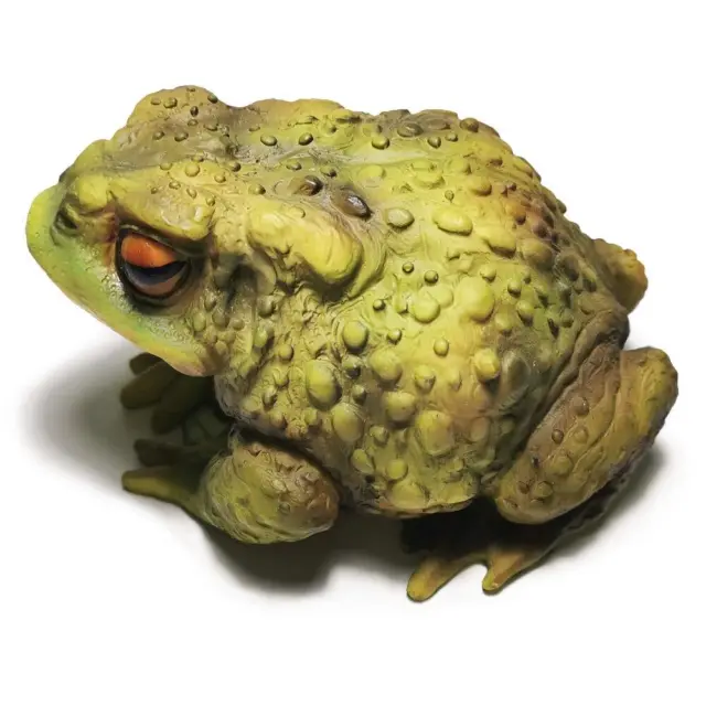 10 Giant Cottage Core Realistic Frog Toad Garden Prop Decoration Statue  Figure