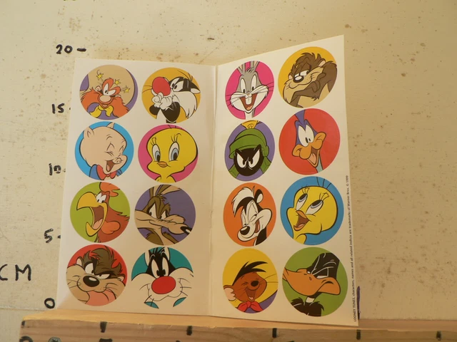 Livre cherche et trouve looney tunes