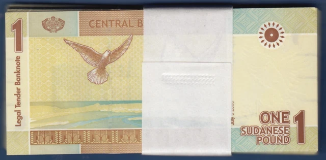 100 Billets De Tombola DIKACA - Format 1.5x2.5cm - Idéal Pour événements, Tirages Au Sort Et Jeux