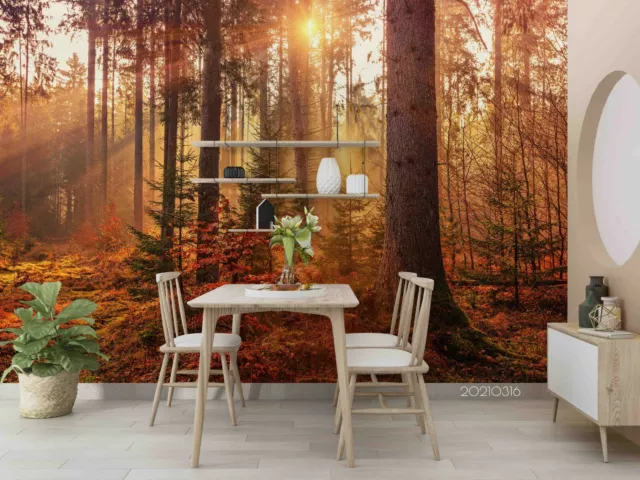 3D Forest Sunrise Wallpaper Wall Mural Removable Self-adhesive 20