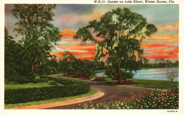 Vintage Postcard 1920's View of Sunset on Lake Elbert Winter Have Florida FL
