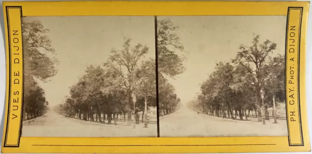 France, Dijon, Avenue du Parc, vintage print, ca.1875, stéréo Tirage vintage sté