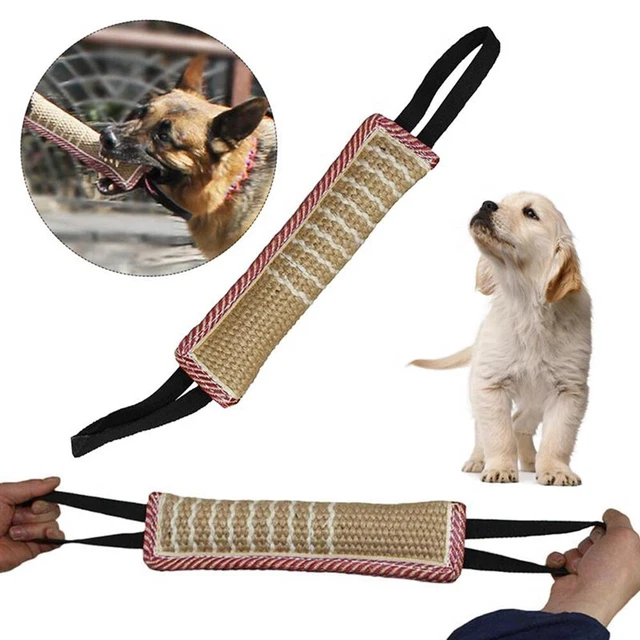 Masticare cani adulti addestramento denti cane sano morso giocattolo forniture per animali domestici giocattoli rimorchiatori