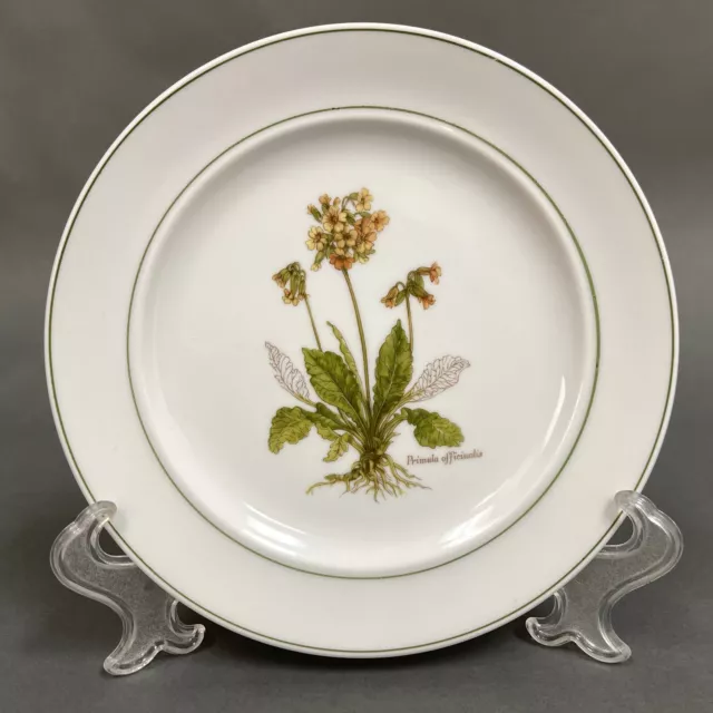 E & R 1886 Golden Crown Western Germany Salad Plate Primula Officinalis